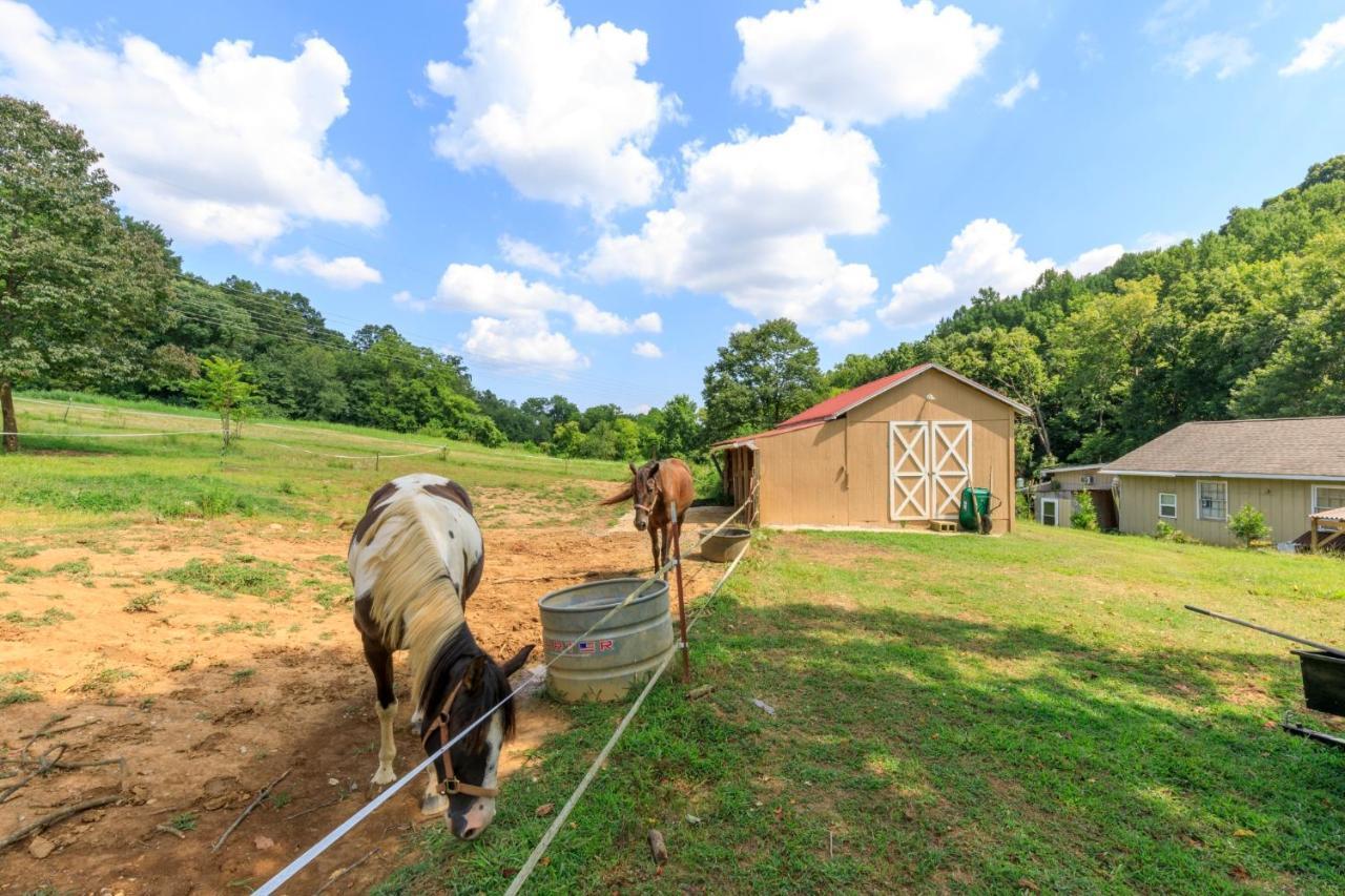 4 Bedroom Country Getaway Нэшвилл Экстерьер фото